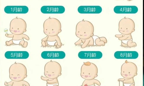 仔排就是小排吗-小排和仔排图片、仔排就是小排吗 -仔排和小拍区别图片网